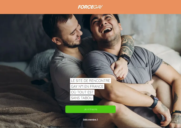 Force Gay avis page d'accueil