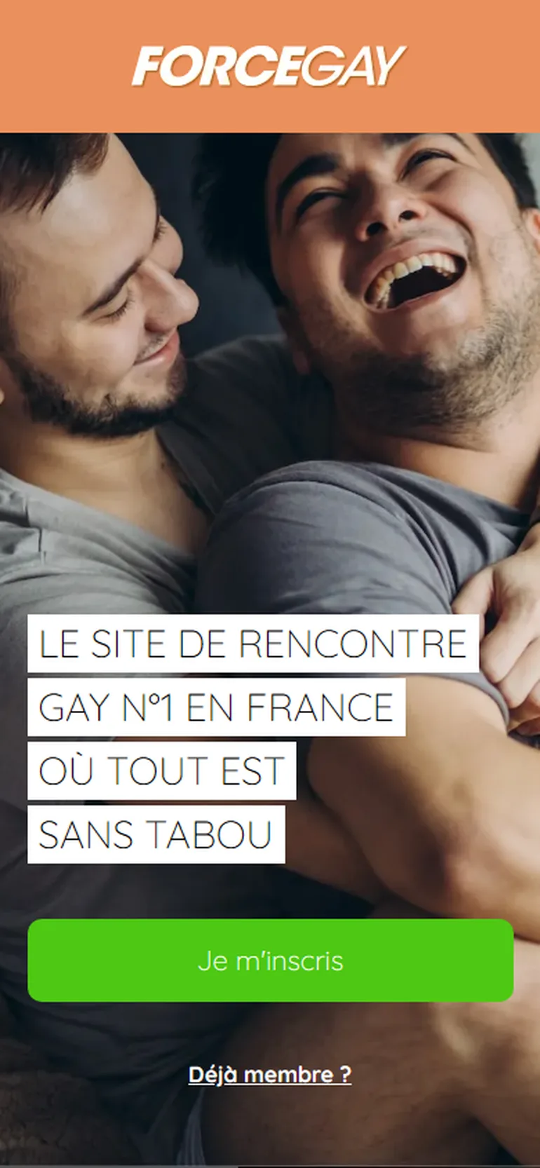 Force Gay avis vue mobile